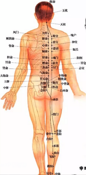 Introduction to TCM- What does basic TCM theory describe? – TCM ...